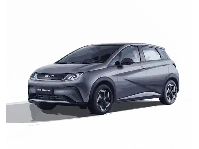 Byd-Dolphin-indonesia- (2)