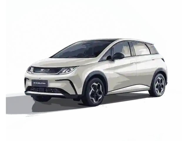 Byd-Dolphin-indonesia- (4)