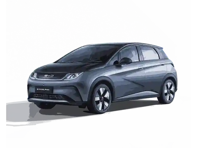 Byd-Dolphin-indonesia- (7)